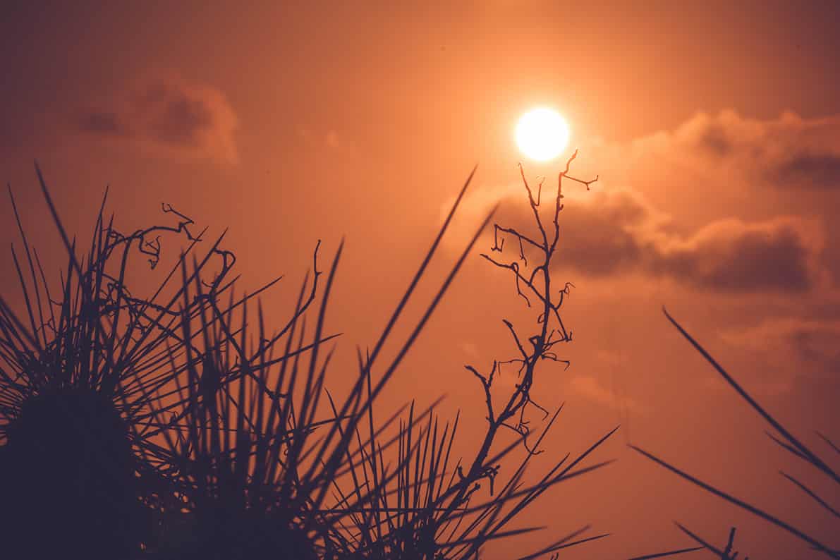 Imagen de la naturaleza con el sol de fondo