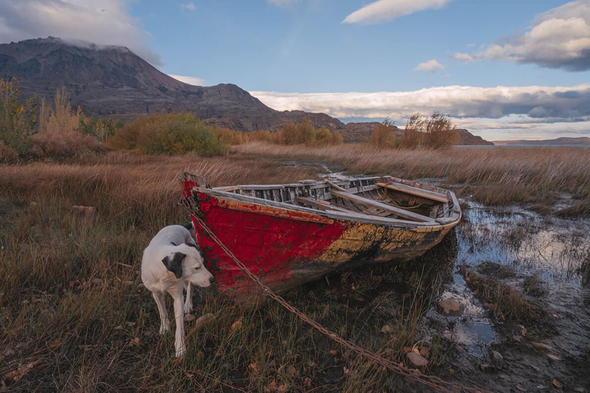 Imagen de un perro junto a un bote pesquero artesanal